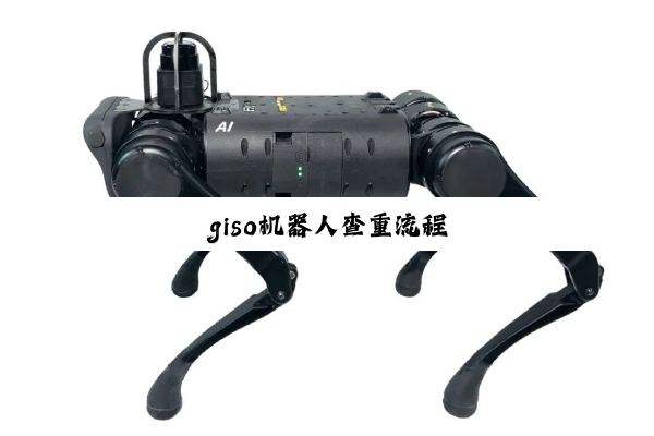 giso机器人查重流程