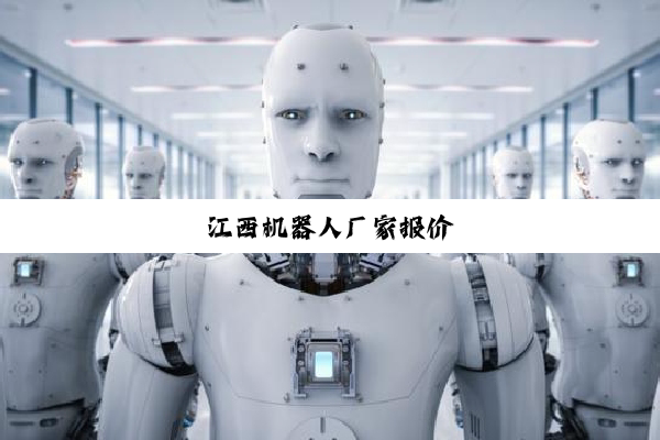 江西机器人厂家报价