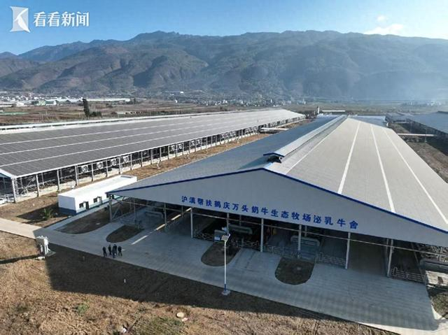 浦东·鹤庆协作七年：乳畜业产值破30亿